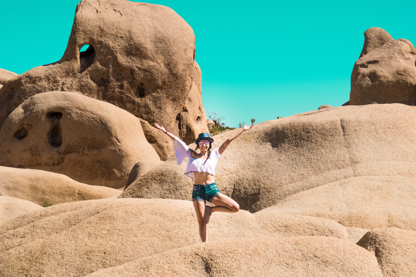 One Perfect Day in Joshua Tree